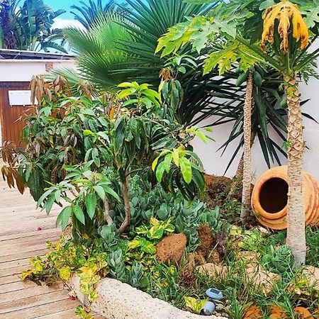 Beautiful Chalet With Wifi And Free Parking アロナ エクステリア 写真
