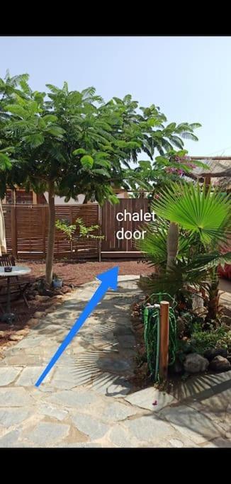 Beautiful Chalet With Wifi And Free Parking アロナ エクステリア 写真